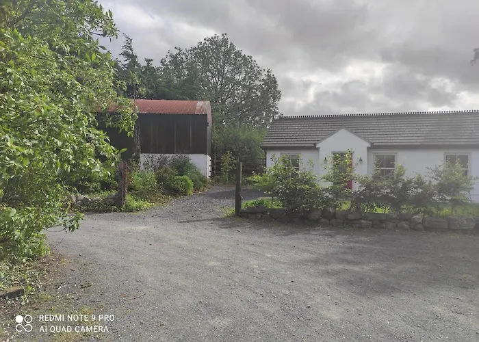 The Wild Farm Mullingar